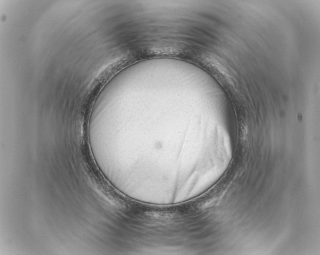 X0000088170733200706051116