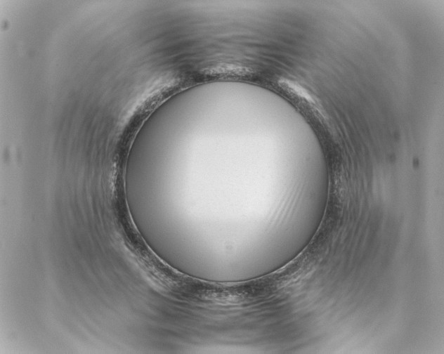 X0000088170735200706051116