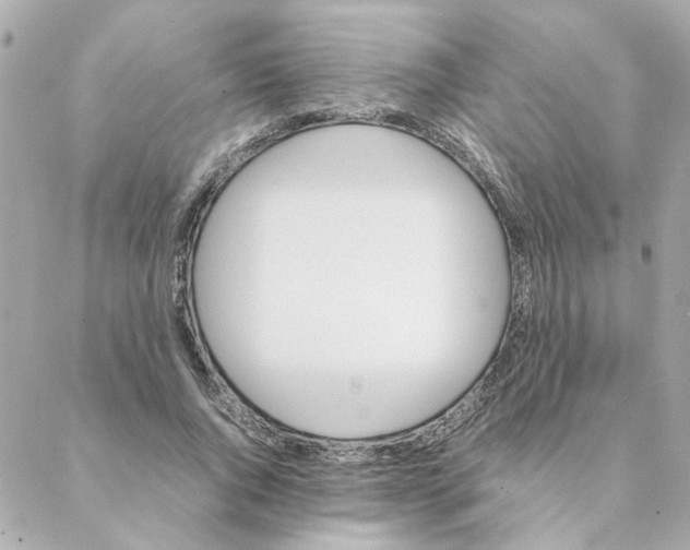 X0000088170736200706051116