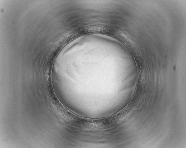 X0000088170737200706051116