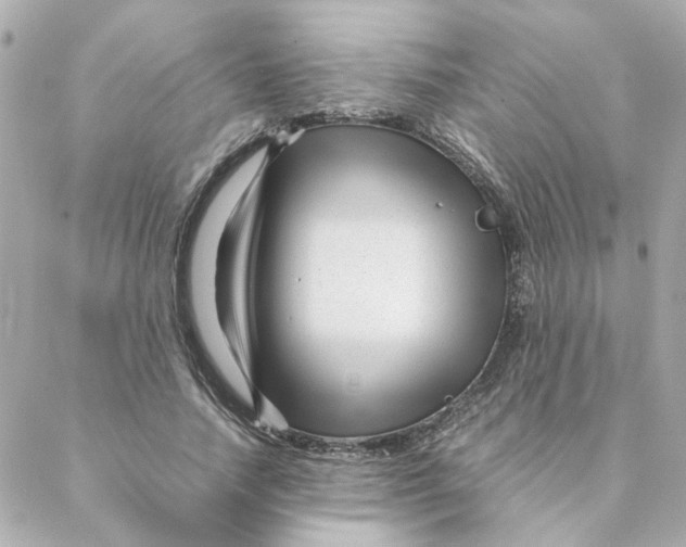 X0000088170738200706051116