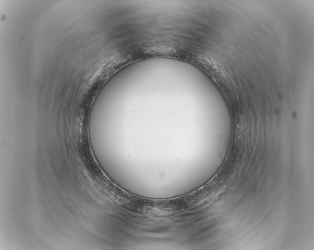 X0000088170739200706051116