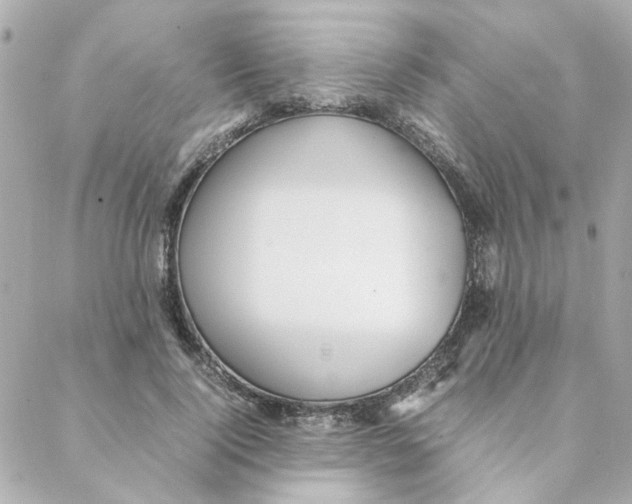 X0000088170740200706051116