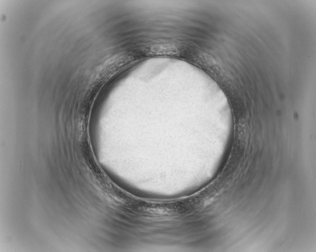 X0000088170741200706051116