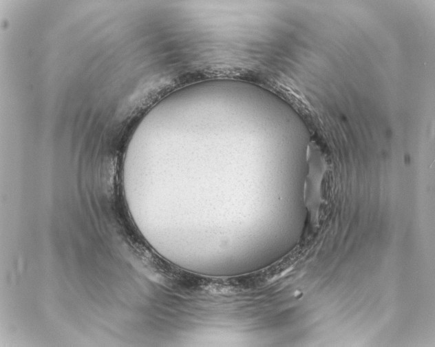 X0000088170742200706051116