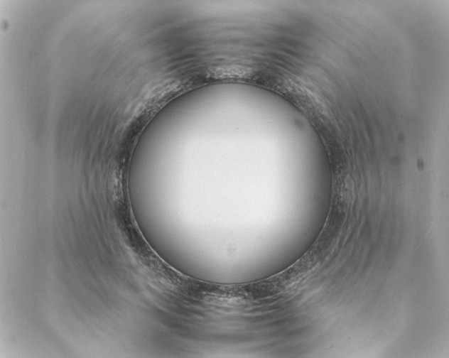 X0000088170743200706051116