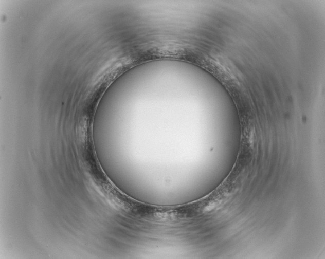 X0000088170744200706051116