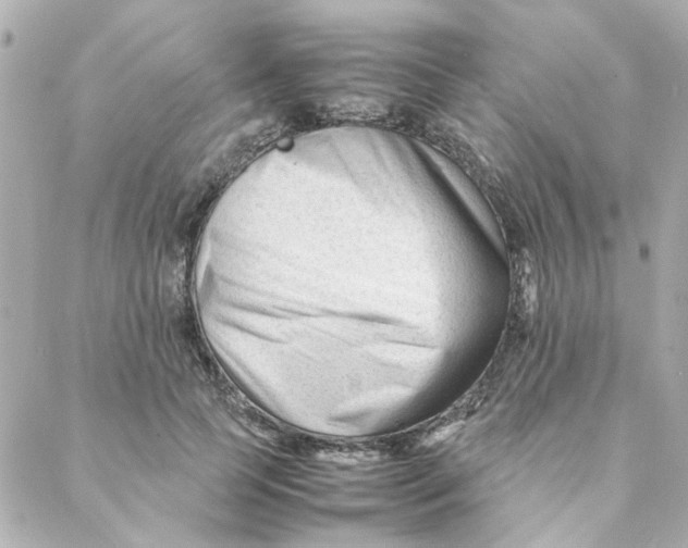 X0000088170745200706051116