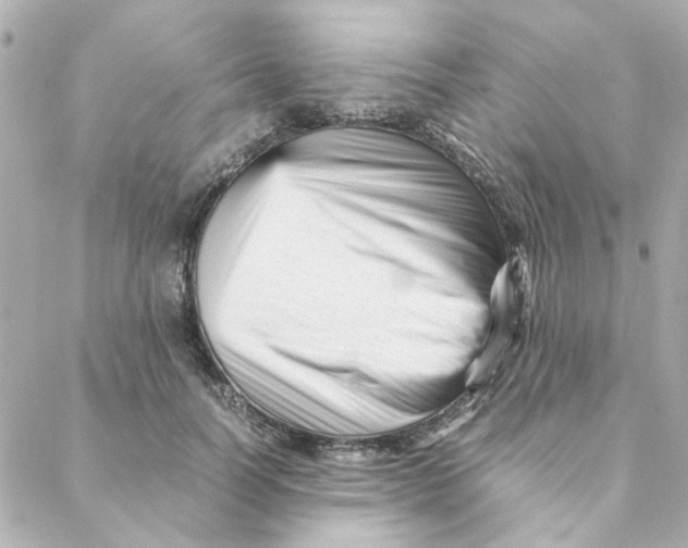 X0000088170746200706051116