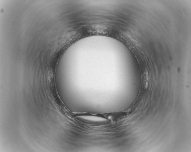 X0000088170747200706051116