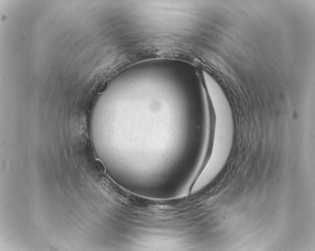 X0000088170748200706051116