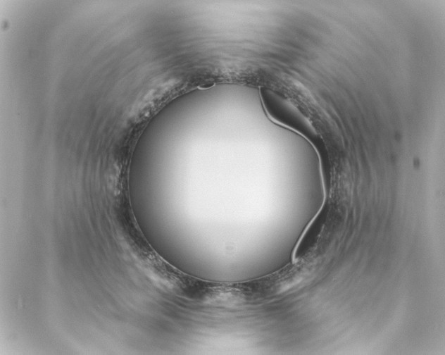 X0000088170750200706051116