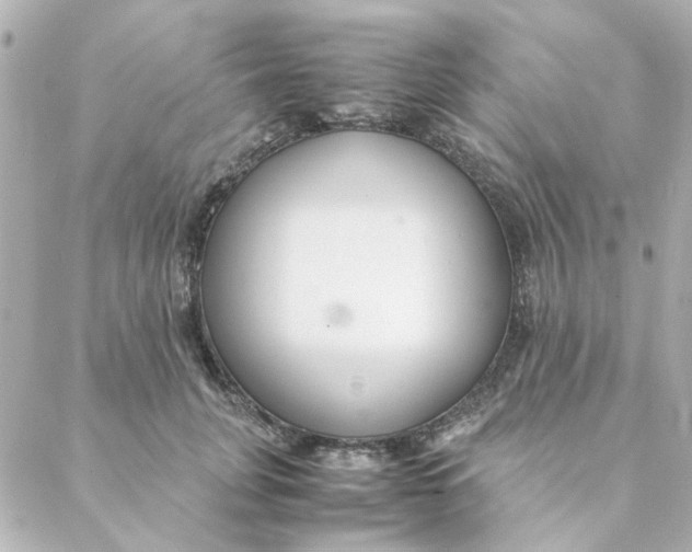 X0000088170751200706051116