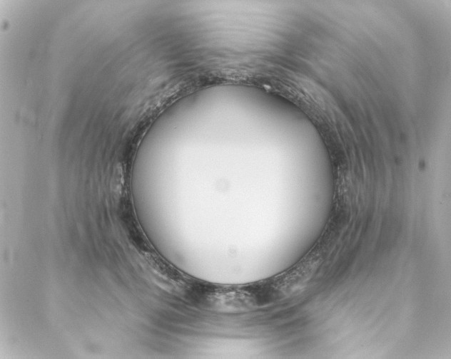 X0000088170752200706051116