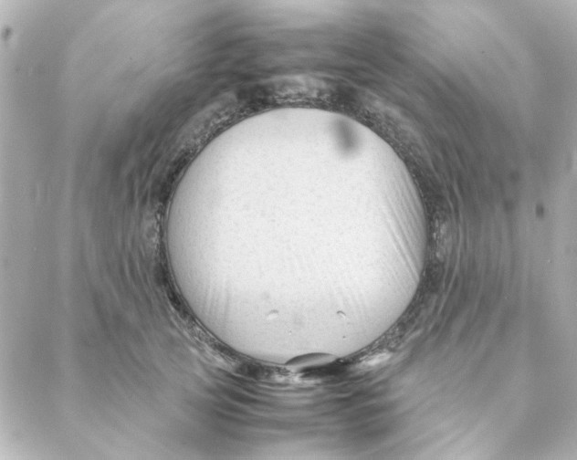 X0000088170753200706051116