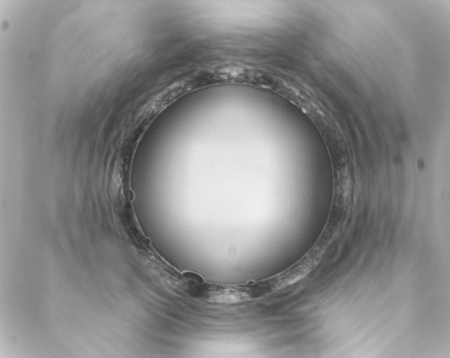 X0000088170754200706051116