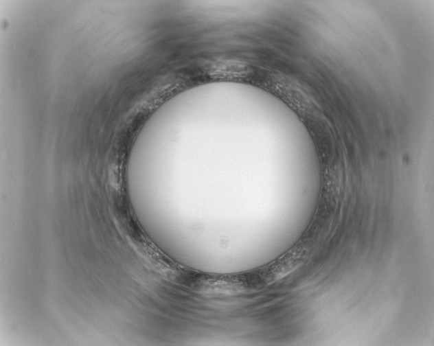 X0000088170755200706051116