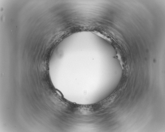 X0000088170756200706051116