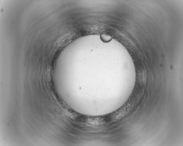 X0000088170757200706051116