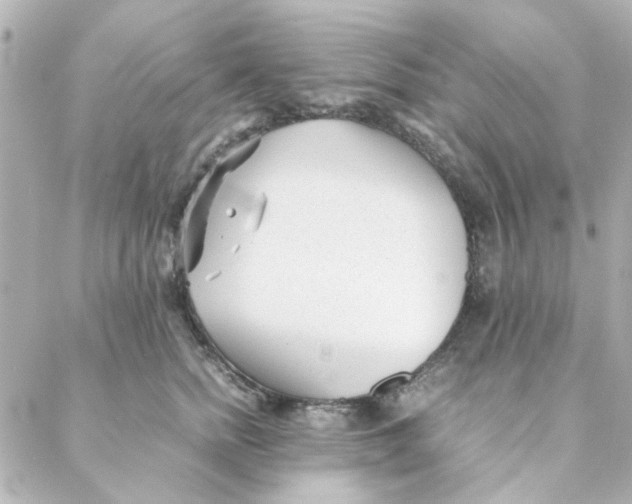 X0000088170758200706051116