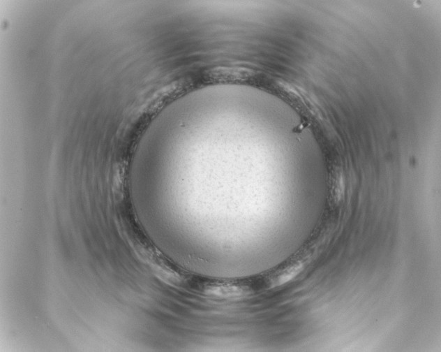 X0000088170759200706051116