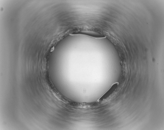 X0000088170760200706051116