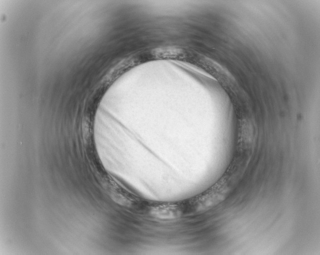 X0000088170761200706051116