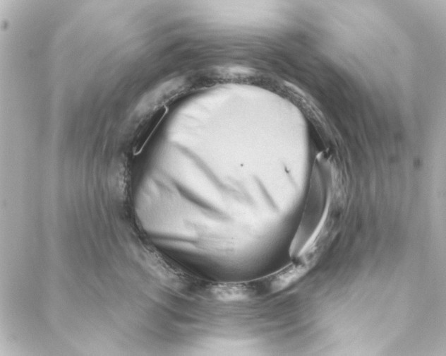 X0000088170762200706051116