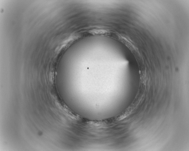 X0000088170763200706051116