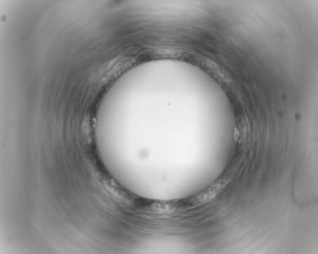 X0000088170764200706051116