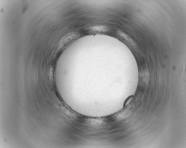 X0000088170765200706051116