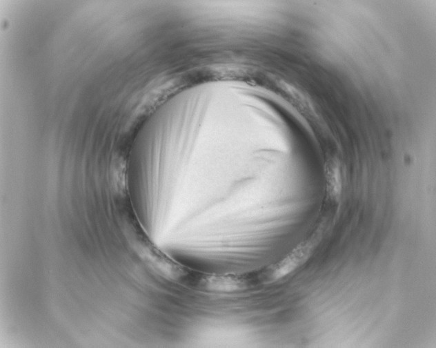 X0000088170766200706051116