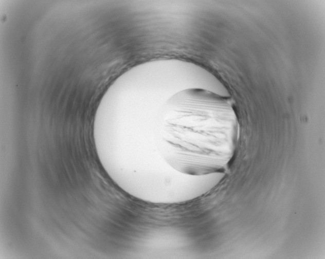 X0000088170768200706051116