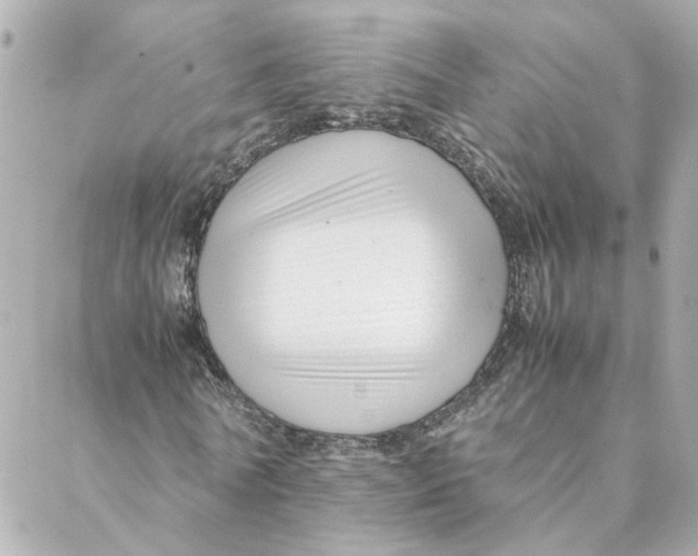 X0000088170770200706051115