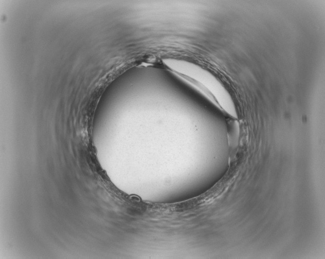 X0000088170771200706051115