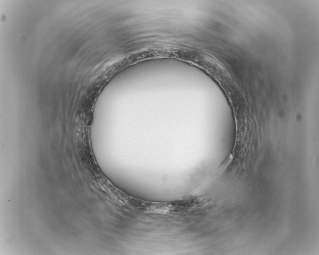 X0000088170773200706051115