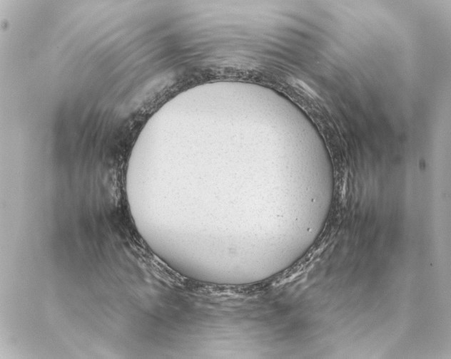 X0000088170774200706051115