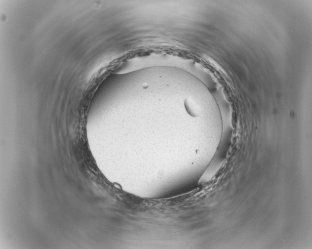 X0000088170775200706051115