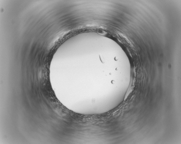 X0000088170776200706051115