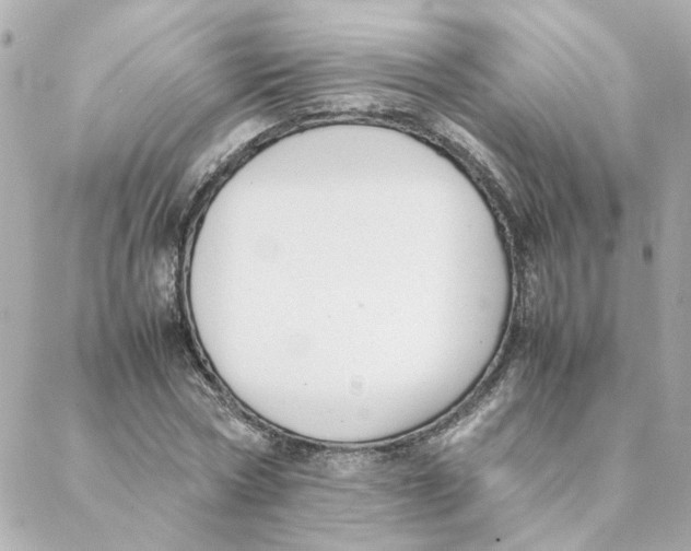 X0000088170778200706051115