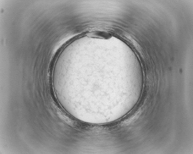 X0000088170779200706051115