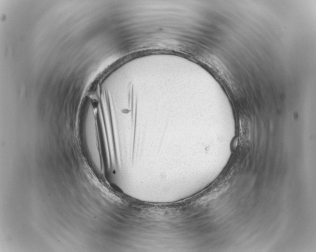 X0000088170780200706051115