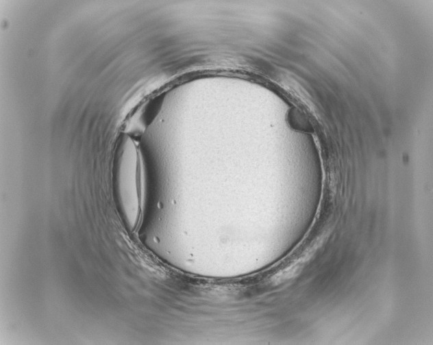 X0000088170781200706051115