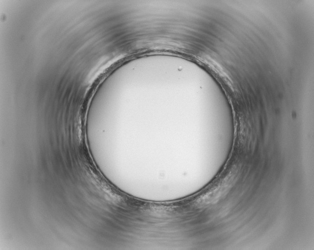 X0000088170782200706051115