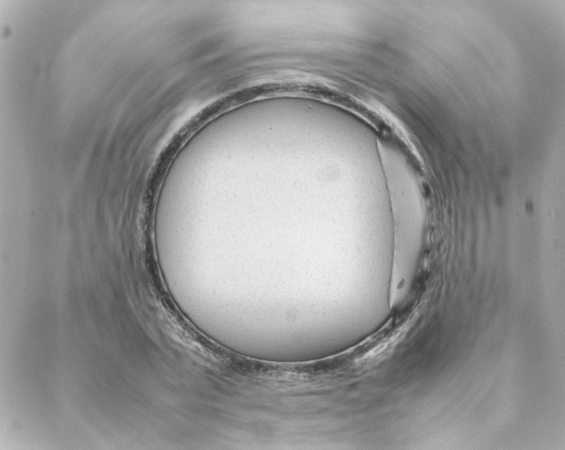 X0000088170783200706051115