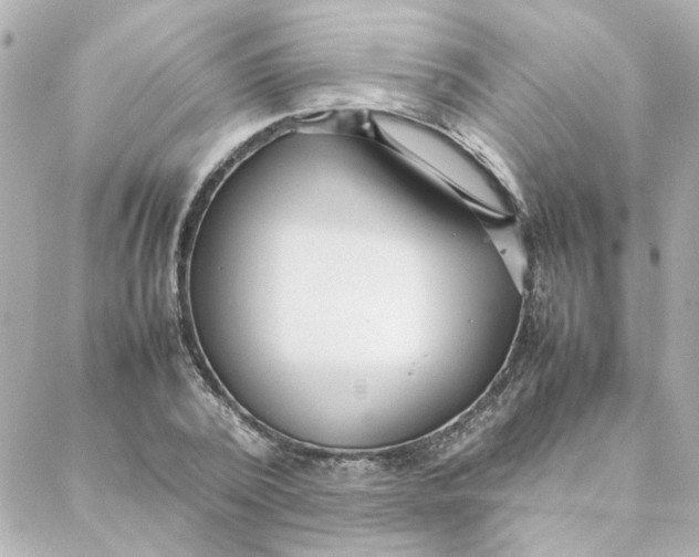 X0000088170784200706051115