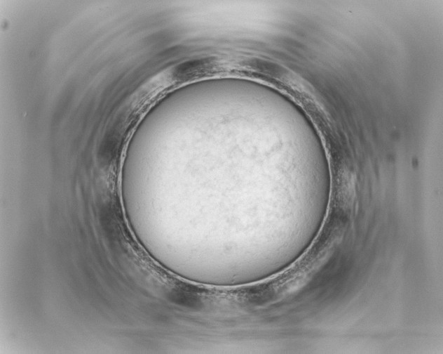 X0000088170785200706051115