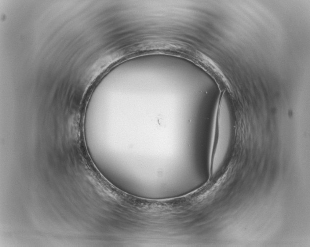 X0000088170786200706051115