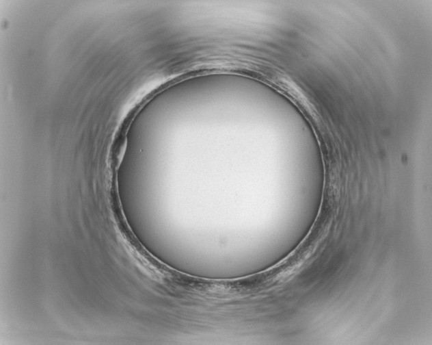 X0000088170787200706051115