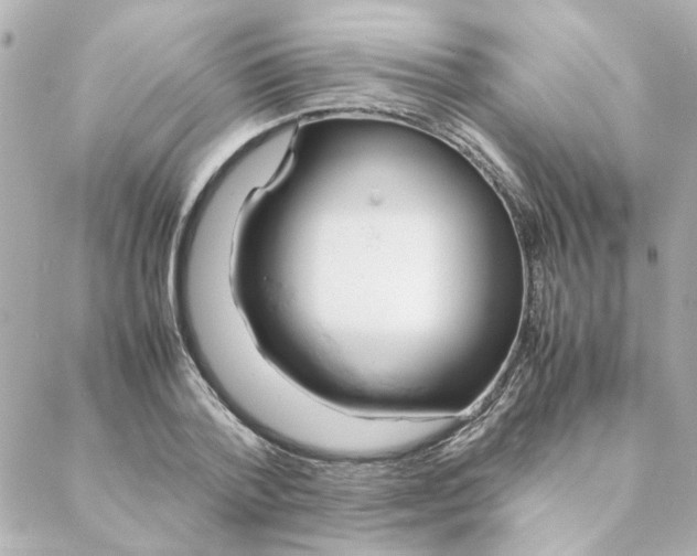 X0000088170788200706051115